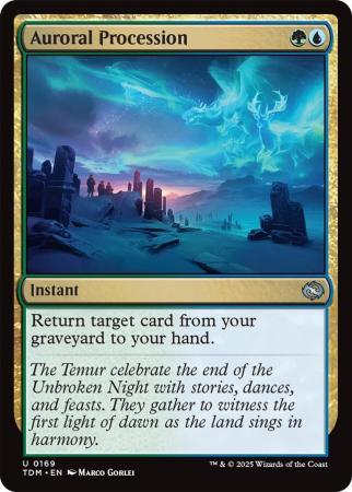 Auroral Procession - 0169