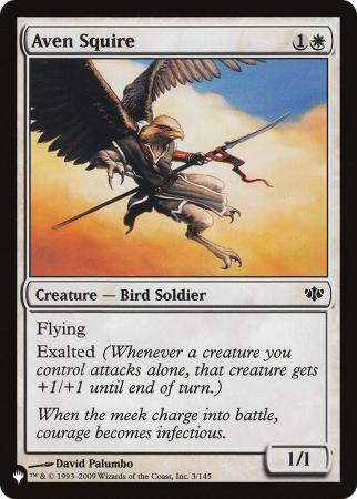 Aven Squire - 003