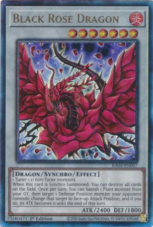 Black Rose Dragon (PUR) (RA04-EN057) - Quarter Century Stampede Prismatic Ultimate Rare 1st Edition