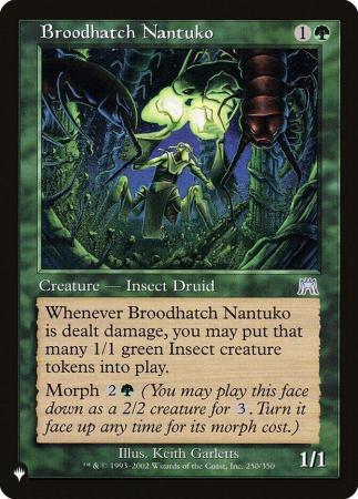 Broodhatch Nantuko - 250