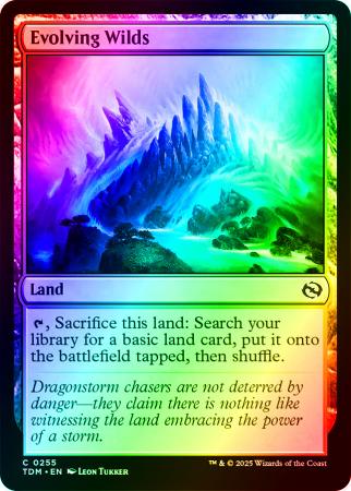 Evolving Wilds - 0255 - Foil