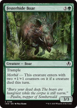 Festerhide Boar - 0196
