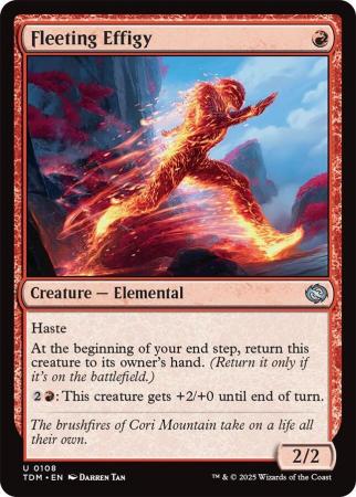 Fleeting Effigy - 0108