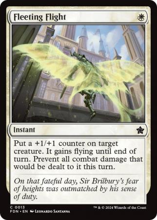 Fleeting Flight - 0013