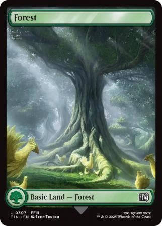 Forest - 0307