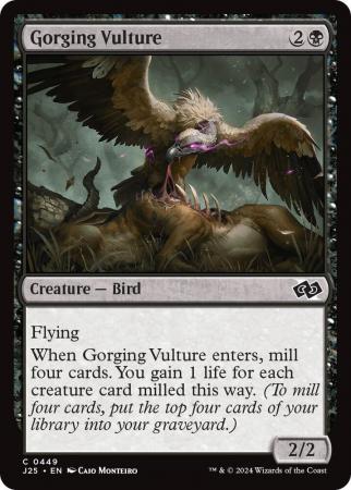Gorging Vulture - 0449