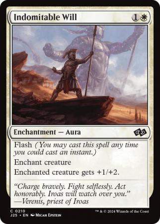 Indomitable Will - 0210