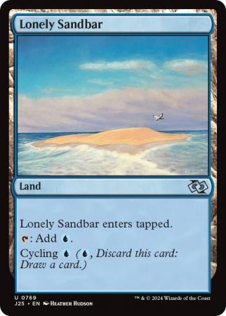 Lonely Sandbar - 0769