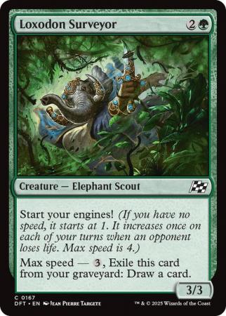 Loxodon Surveyor - 0167