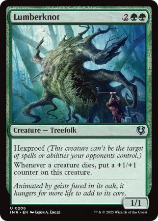 Lumberknot - 0206