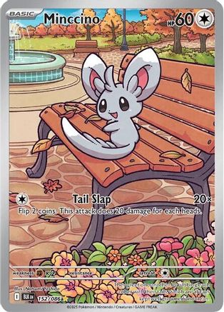 Minccino - 157/086 - Illustration Rare