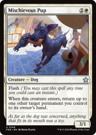 Mischievous Pup - 0144
