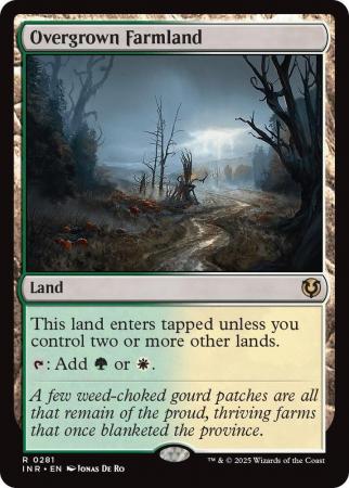 Overgrown Farmland - 0281