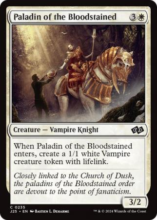 Paladin of the Bloodstained - 0235