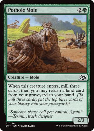 Pothole Mole - 0176