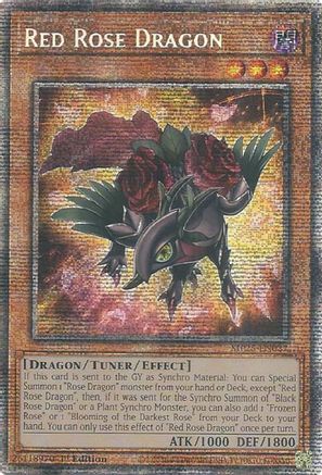 Red Rose Dragon (MP25-EN037) - 2025 Mega-Pack Starlight Rare 1st Edition