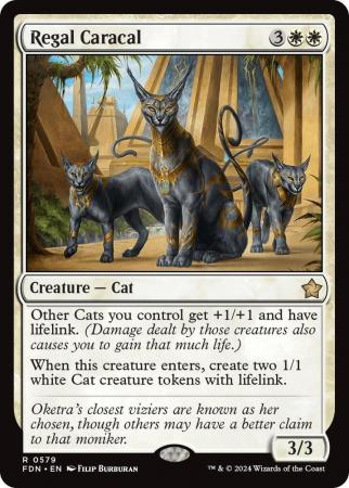 Regal Caracal - 0579