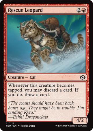 Rescue Leopard - 0116