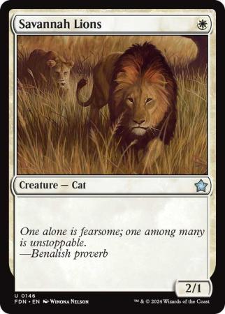 Savannah Lions - 0146