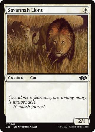 Savannah Lions - 0249