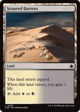 Scoured Barrens - 0266