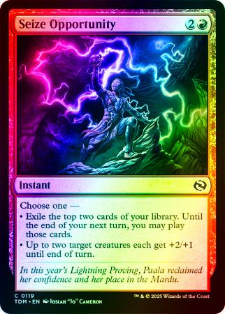 Seize Opportunity - 0119 - Foil