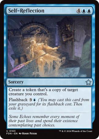 Self-Reflection - 0163