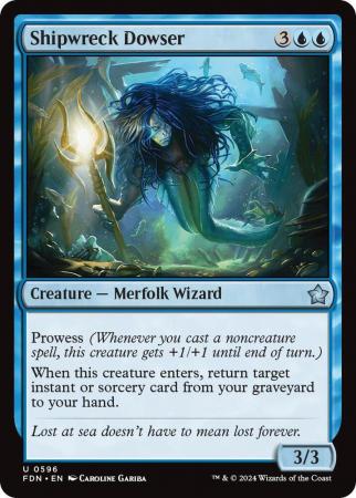 Shipwreck Dowser - 0596
