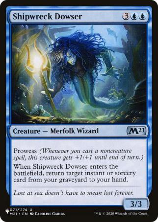 Shipwreck Dowser - 071