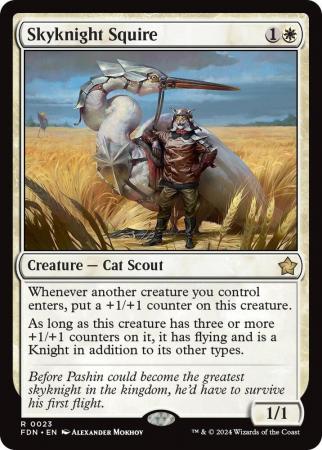 Skyknight Squire - 0023