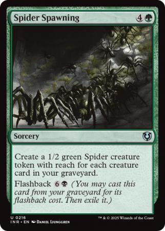 Spider Spawning - 0216