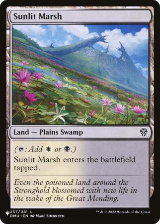 Sunlit Marsh - 257