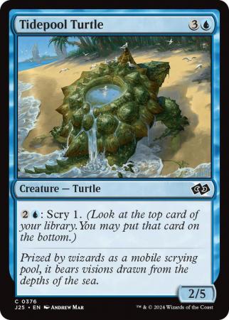 Tidepool Turtle - 0376