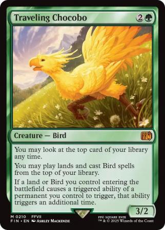 Traveling Chocobo - 0210
