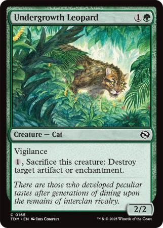Undergrowth Leopard - 0165