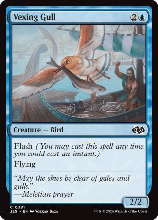 Vexing Gull - 0381