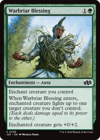 Warbriar Blessing - 0739