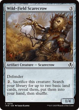 Wild-Field Scarecrow - 0274