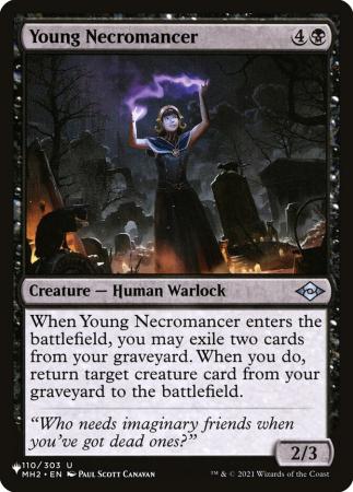 Young Necromancer - 110