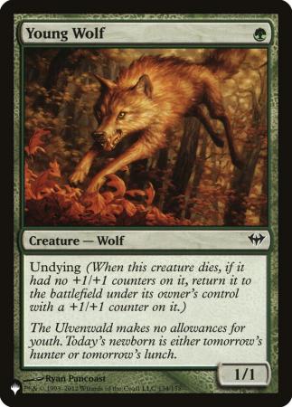 Young Wolf - 134