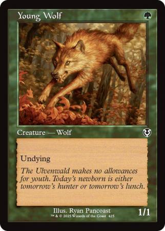 Young Wolf (Retro Frame) - 0425