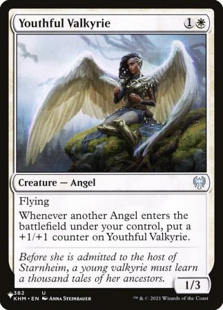 Youthful Valkyrie - 382